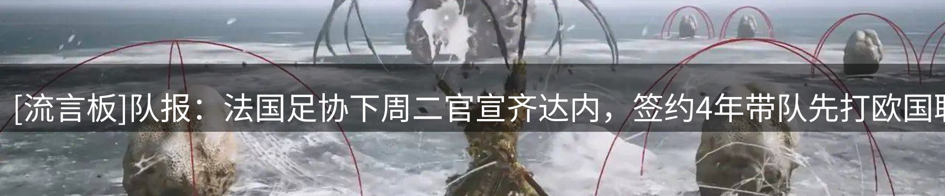 品牌资讯